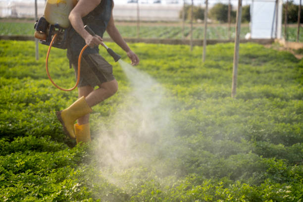 Best Ant Control Services  in Tuttle, OK