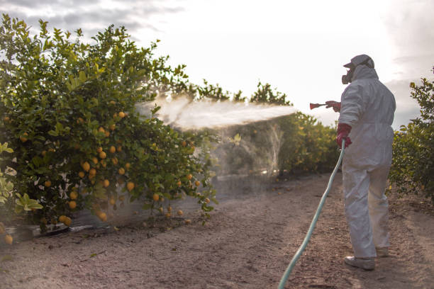 Best Pest Inspection Near Me  in Tuttle, OK