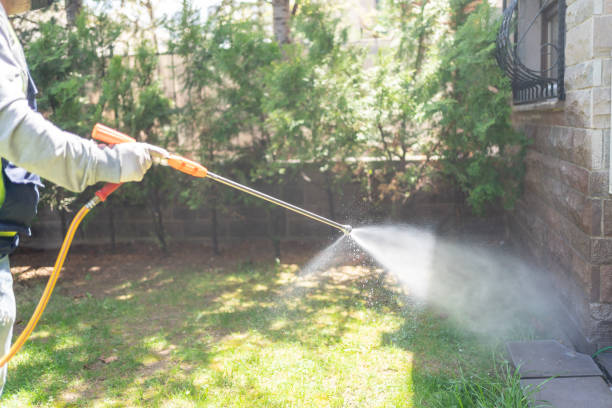 Wasp Removal Services in Tuttle, OK