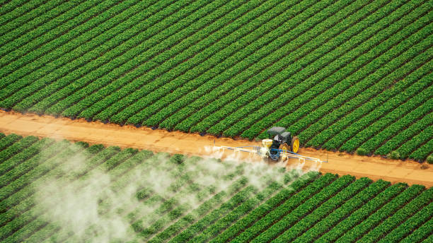 Best Mosquito Control Services  in Tuttle, OK