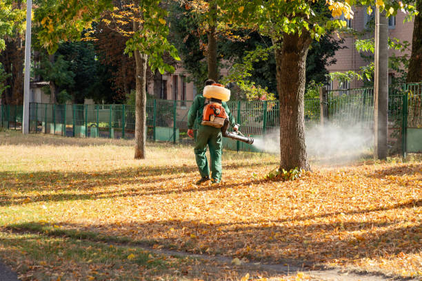 Best Flea Control Services  in Tuttle, OK
